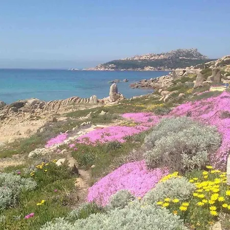 Vista Mare - Stella Marina